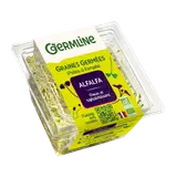 Alfalfa germé bio