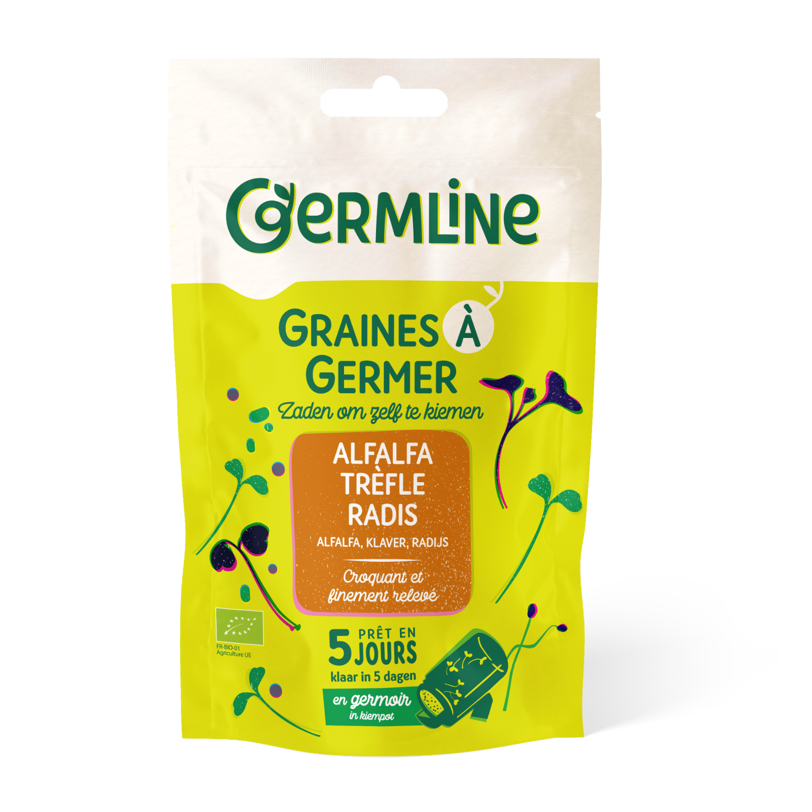 Mélange alfalfa trèfle radis à germer bio