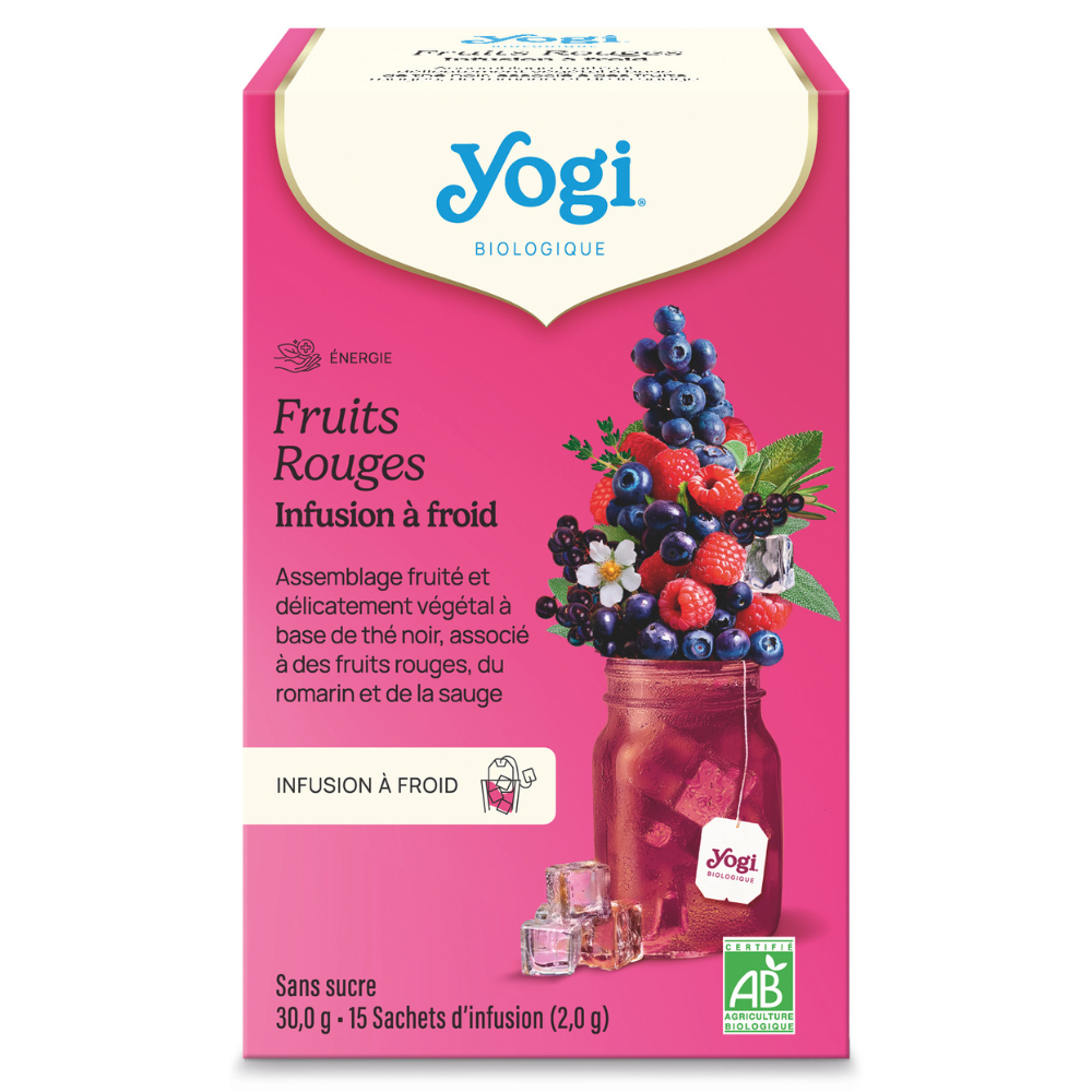 Infusion à froid thé noir fruits rouges bio x 15