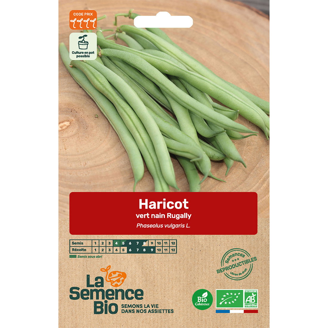 Graines bio de haricot vert nain rugally