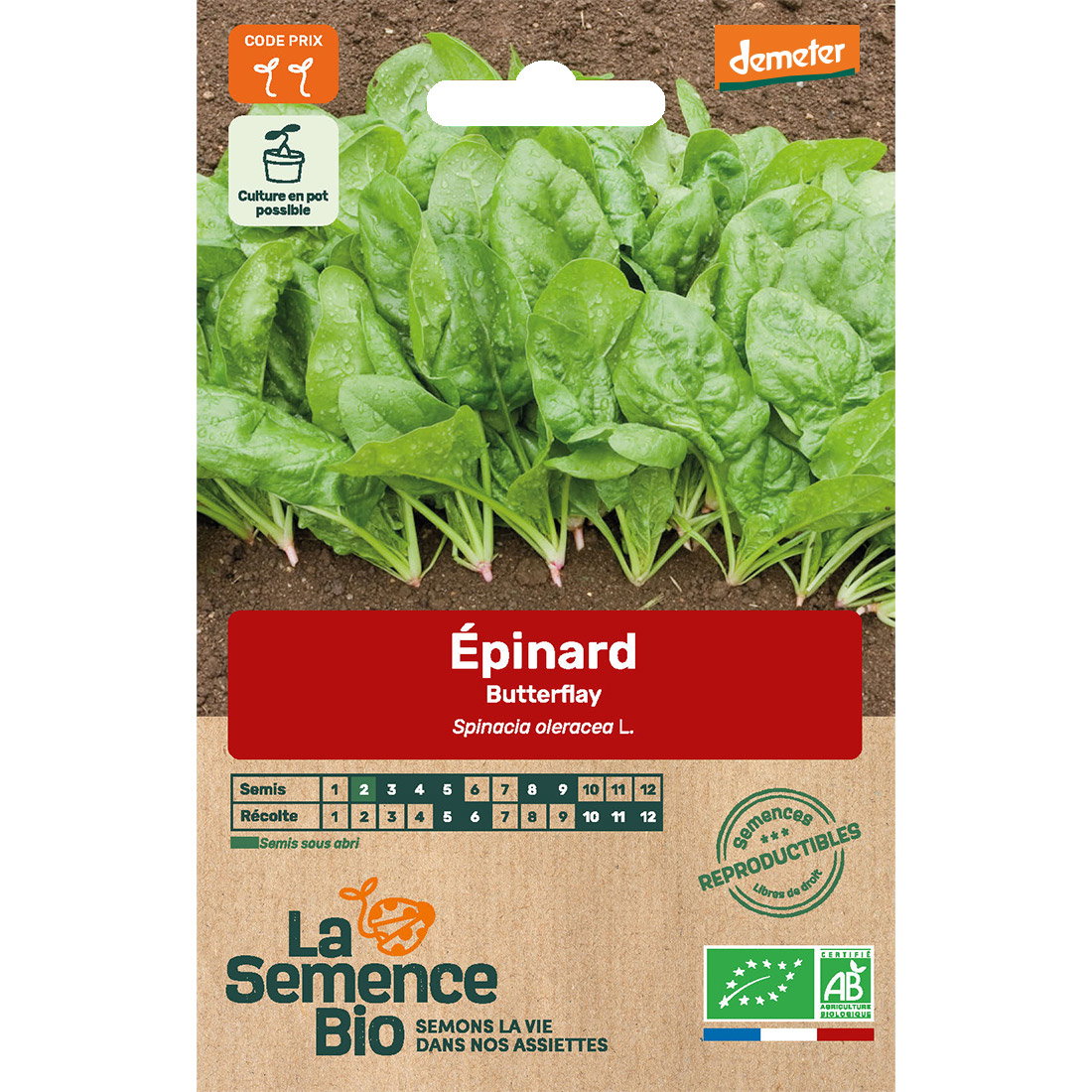 Graines bio d'epinard butterflay