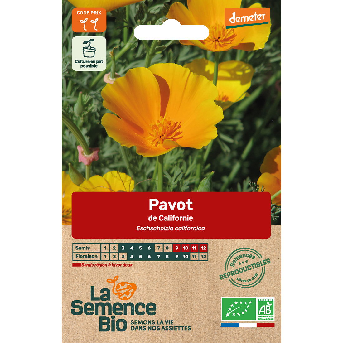 Graines bio pavot de californie