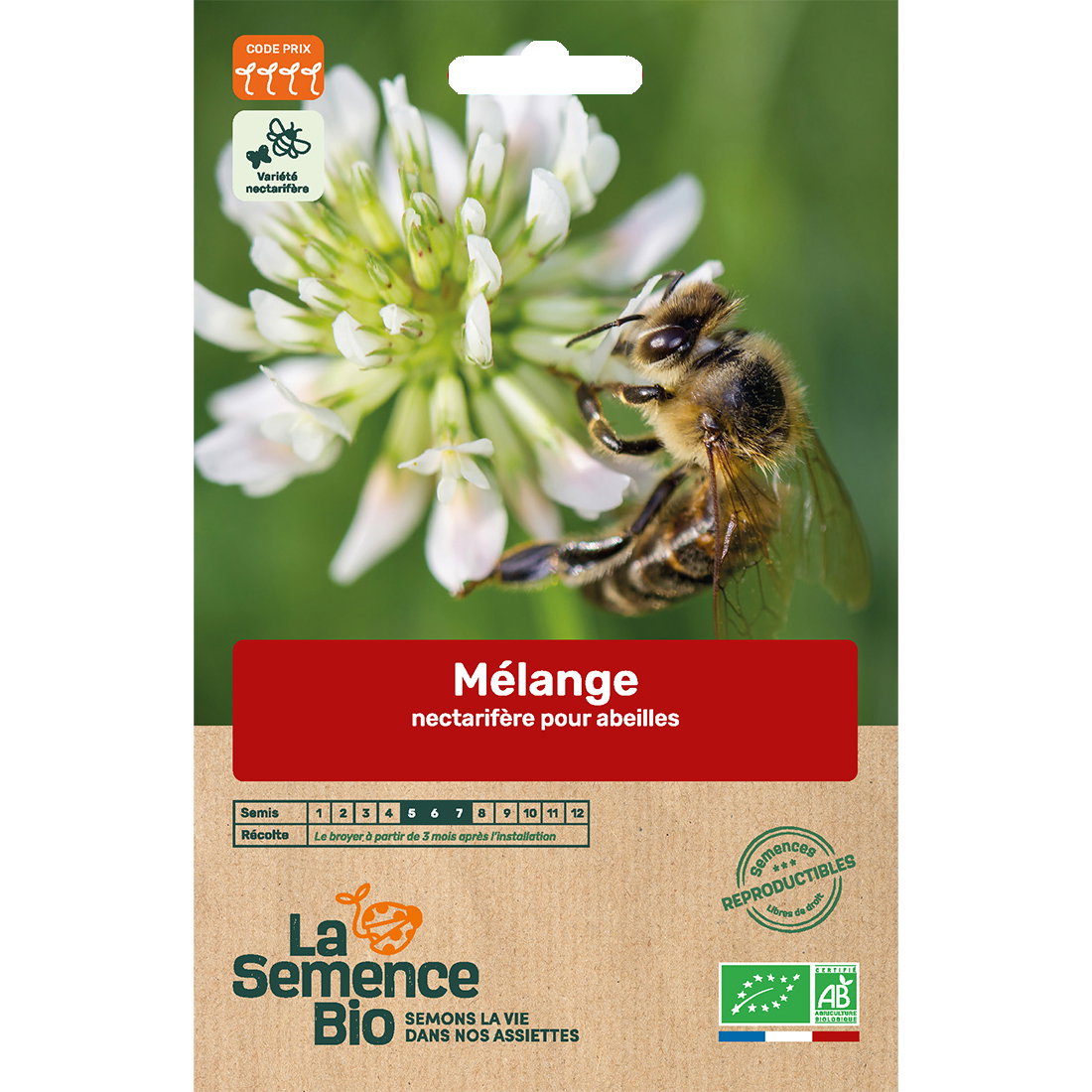 Graines bio mélange de fleurs abeilles