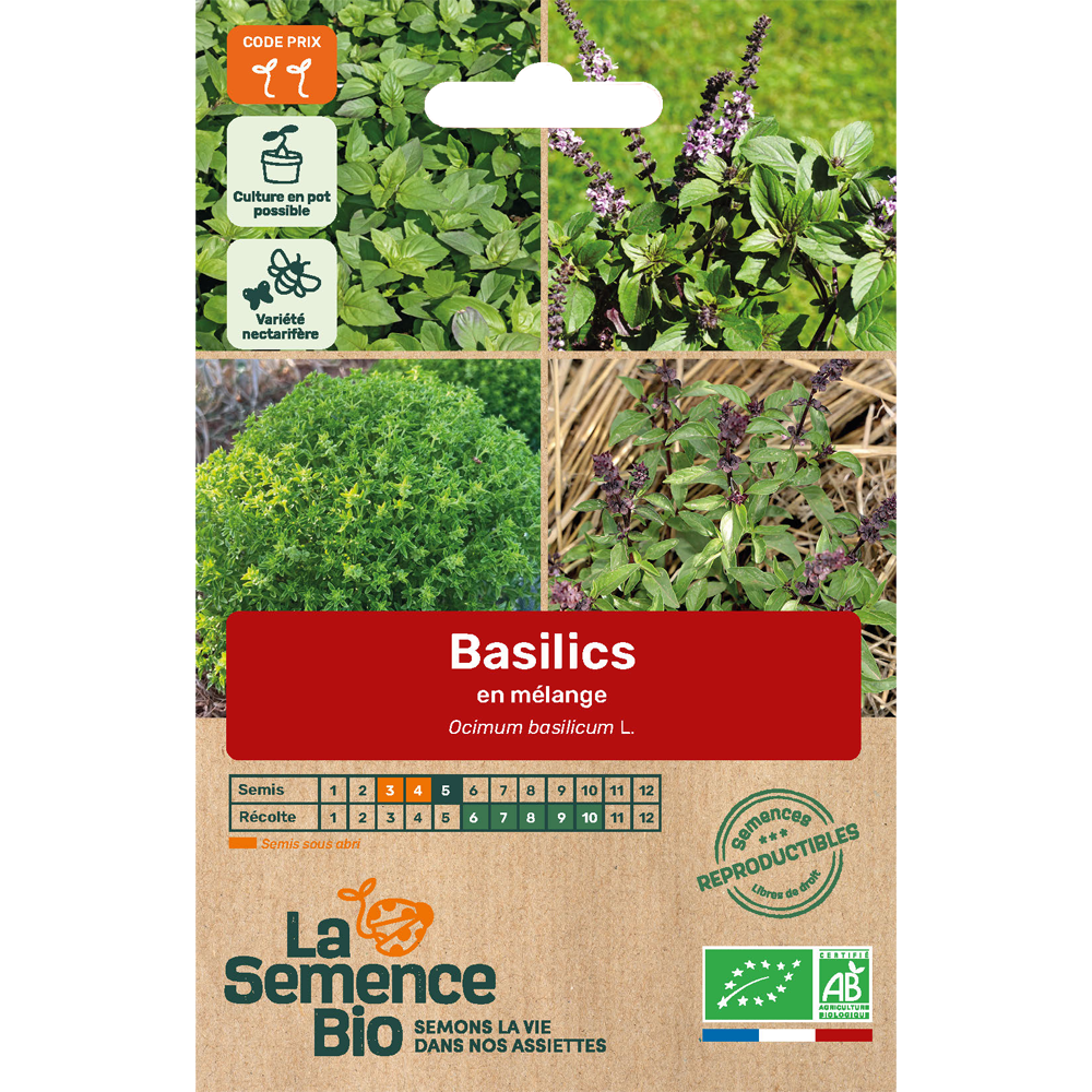 Graines bio basilics en mélange