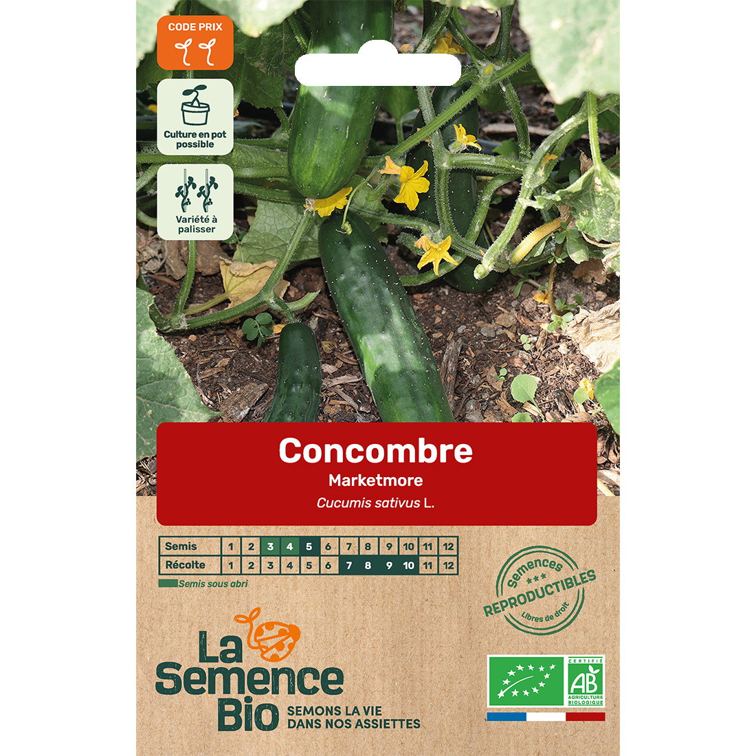 Graines bio de concombre variété marketmore