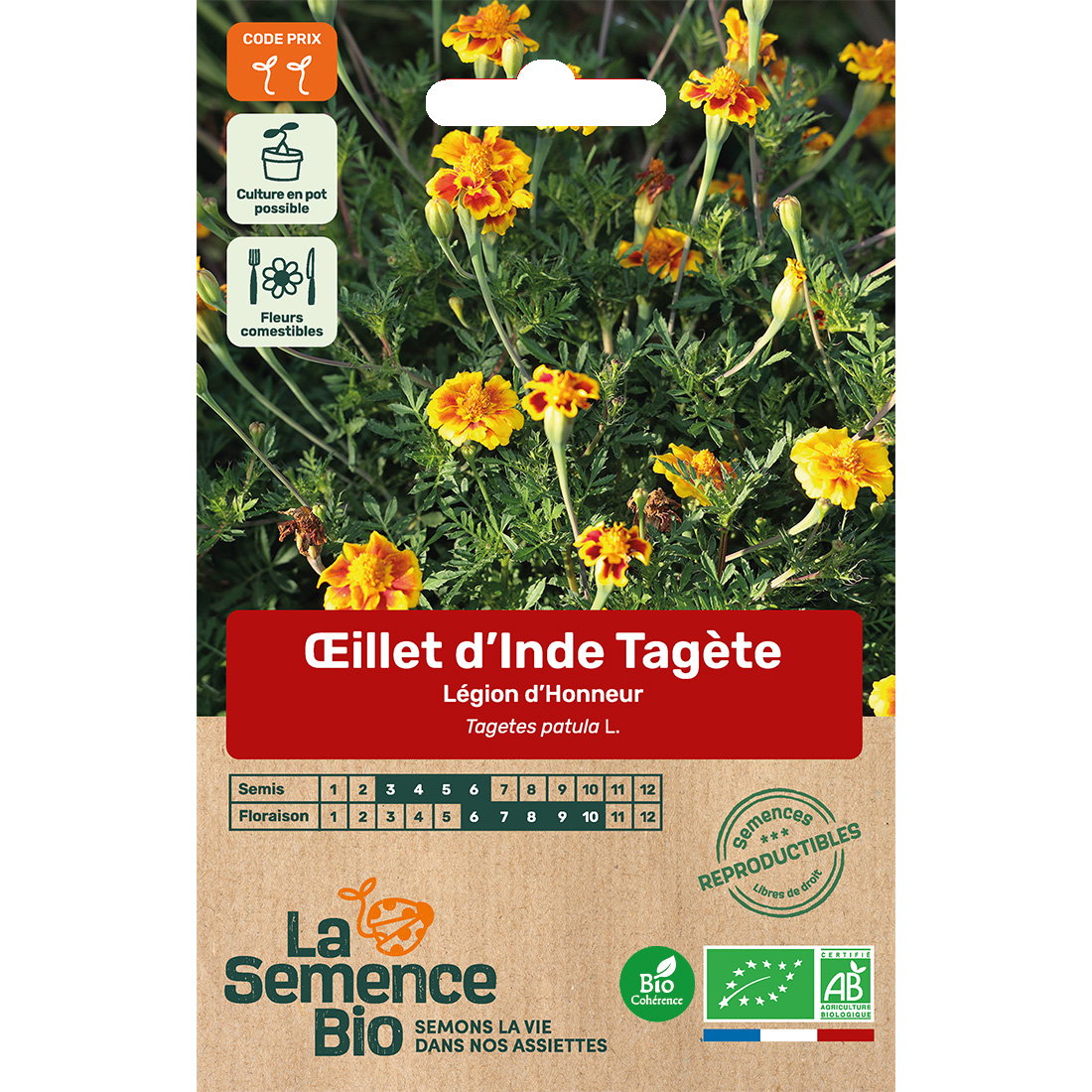 Graines bio d'œillet d'Inde tagete légion d'honneur