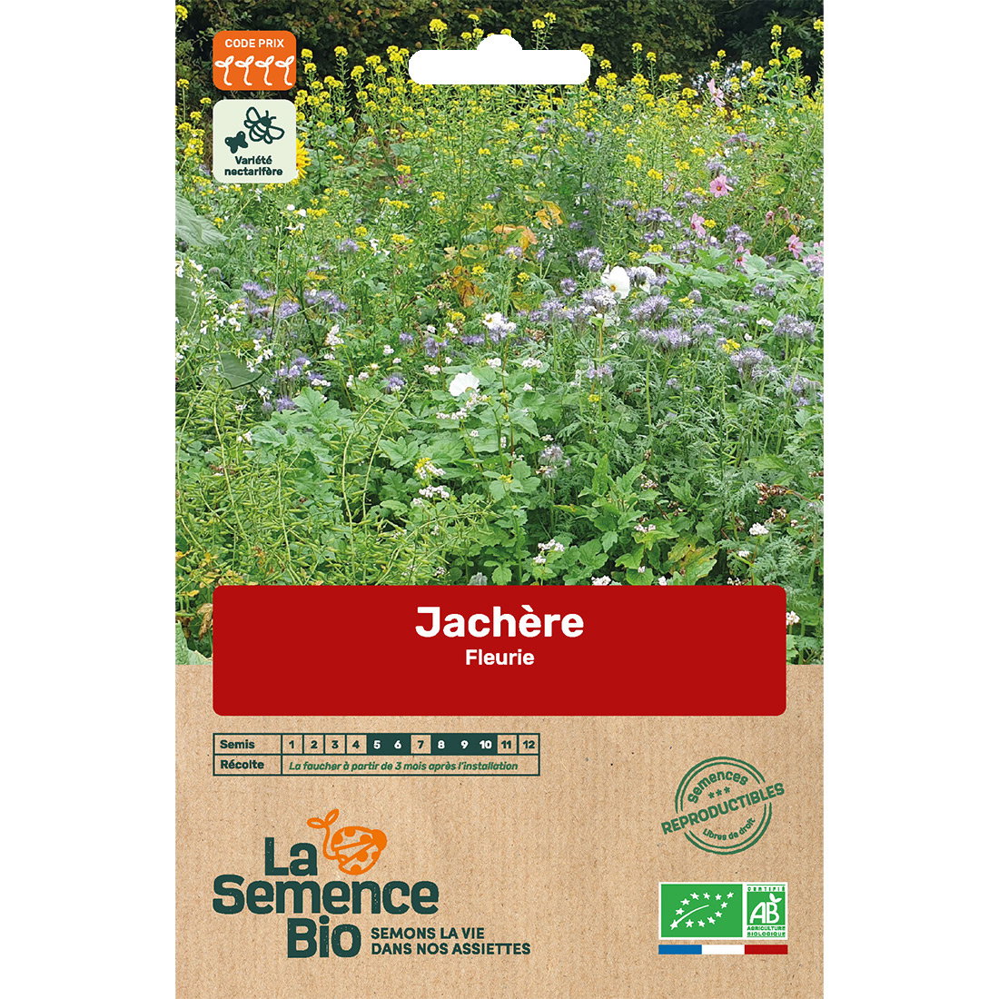 Graines bio de jachère fleurie