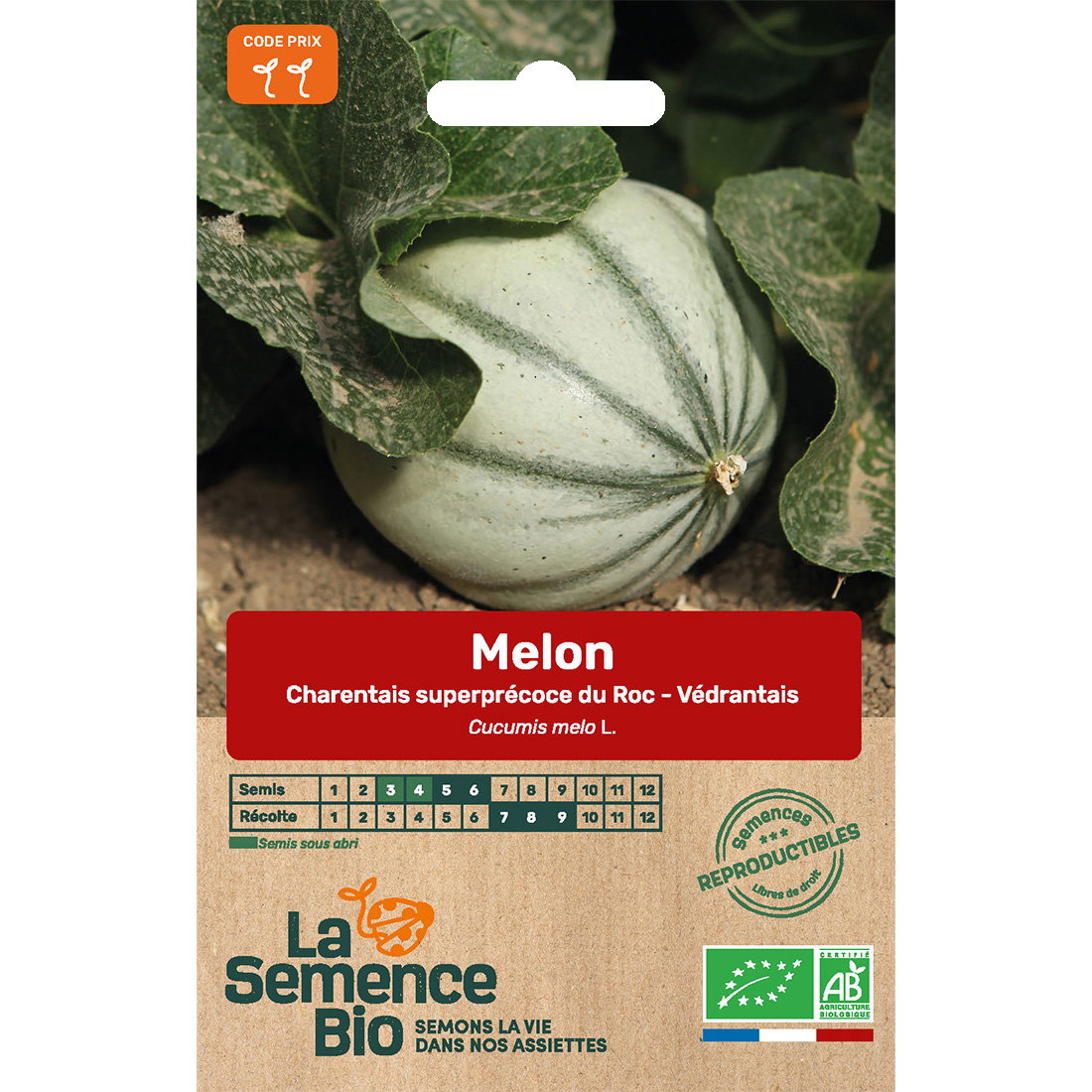 Graines bio de melon charentais précoce du roc