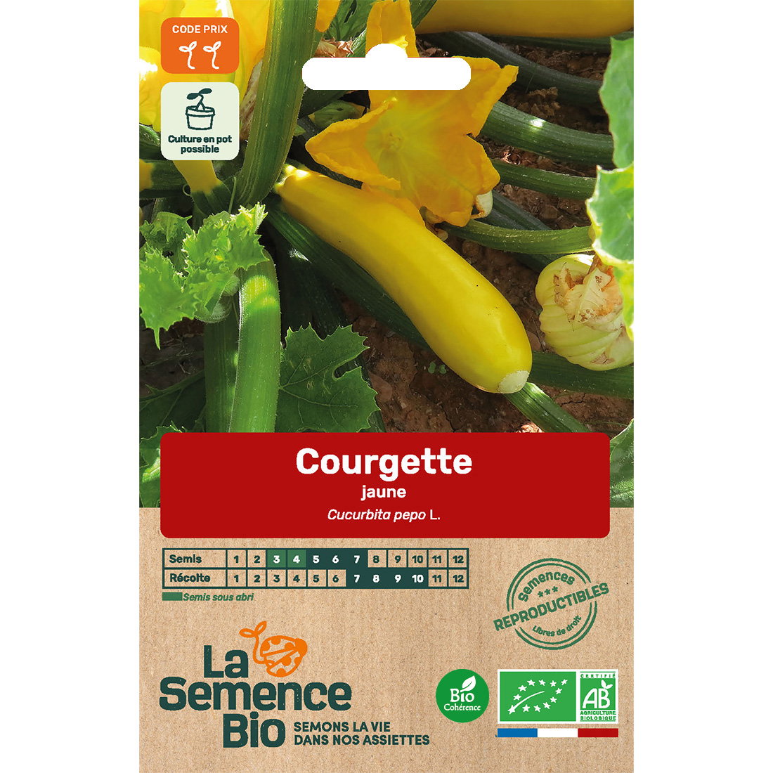 Graines bio courgette jaune