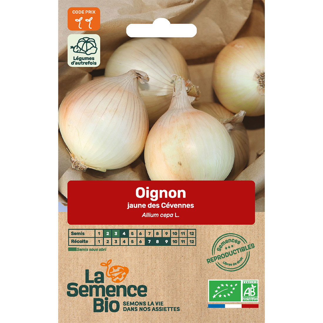 Graines bio d'oignon jaune des Cévennes