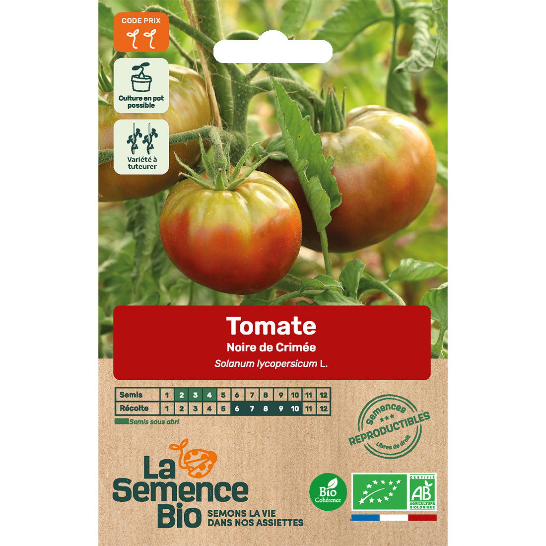 Graines bio tomate noire de crimée