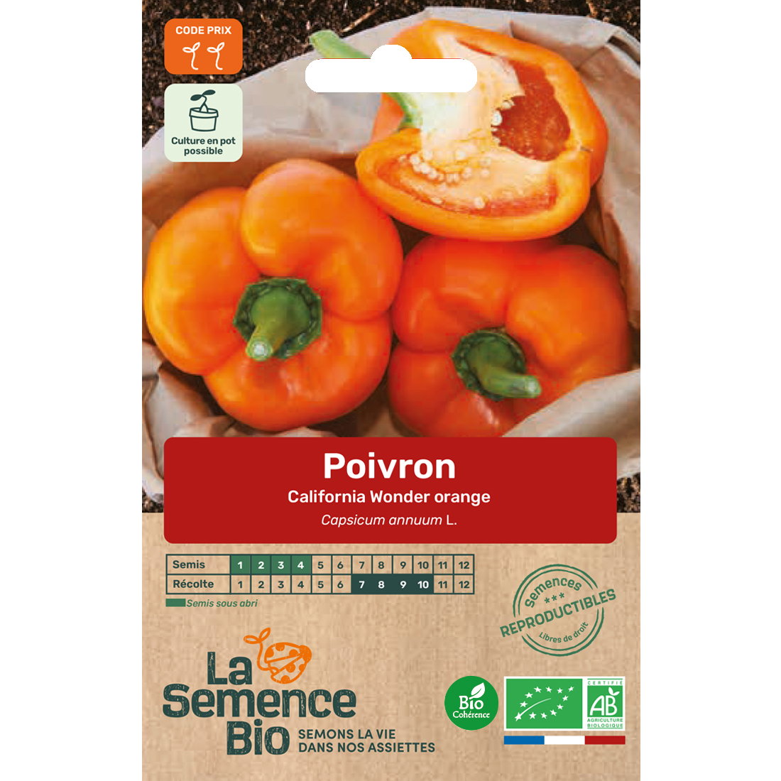 Graines bio de poivron california wonder yellow