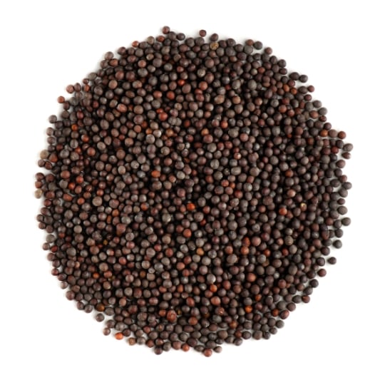 Graine De Moutarde Noir Bio - Graines De Moutardes Noire 200g VALLEY OF TEA