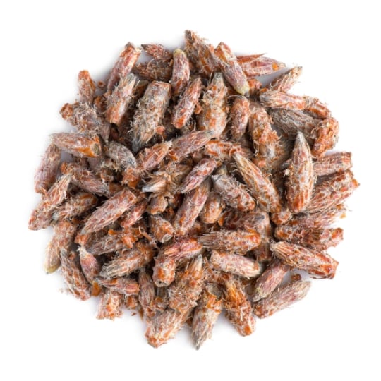 Thé Bourgeons Aiguille Pin - Branches Ou Aiguilles Pin - 350g VALLEY OF TEA