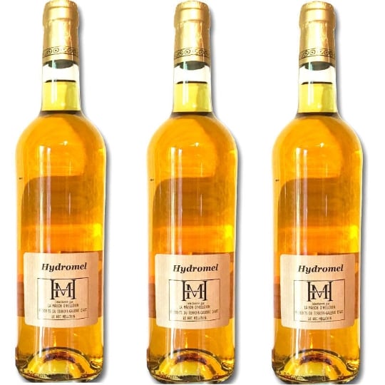 3 Bouteilles Hydromel Artisanal