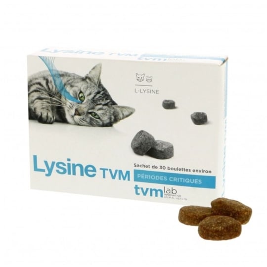 Lysine - 30 Boulettes De 2 G TVM