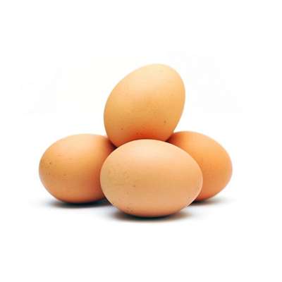 Oeufs frais BIO (x 4)