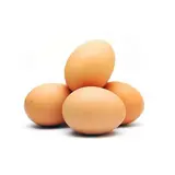 Oeufs frais BIO (x 4)