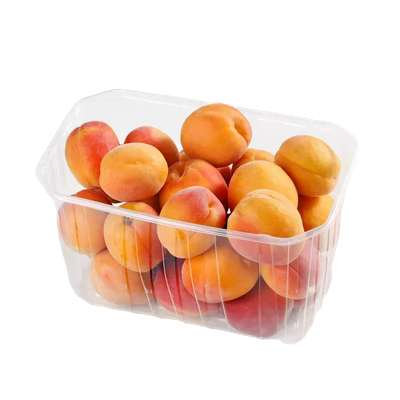 Barquette d'abricots BIO "à mûrir" (500 g), France