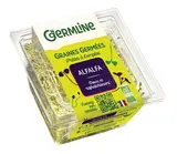 Alfalfa BIO, Germline (60 g)