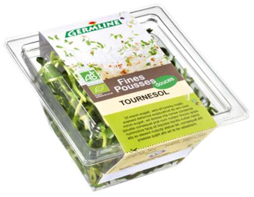 Pousses de tournesol BIO, Germline (50 g)