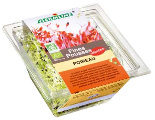 Poireau BIO, Germline (40 g)