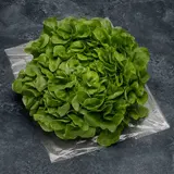 Feuille de chêne blonde bio - Sachet 200g