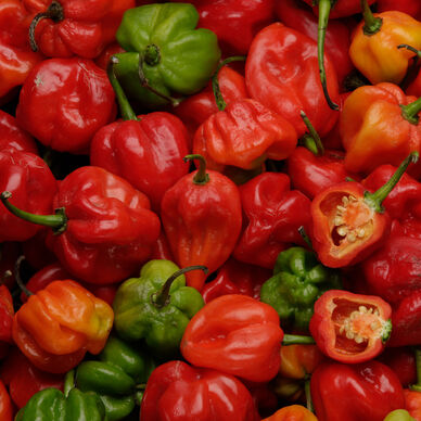 Piment Antillais