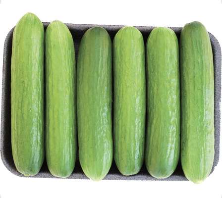 Lot de 6 mini concombres, Espagne