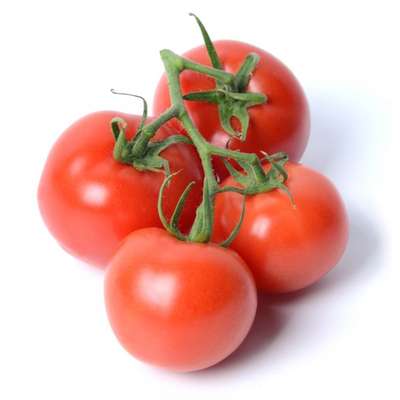 Tomates rondes en grappe Extra de Bretagne - direct producteur, France