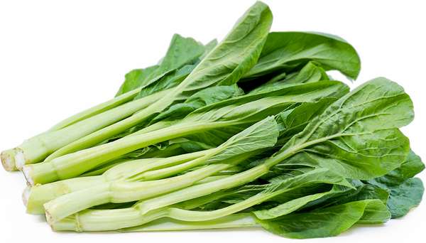 Choï Sum - Chou fleuri asiatique pour woks et soupes, Pays-bas