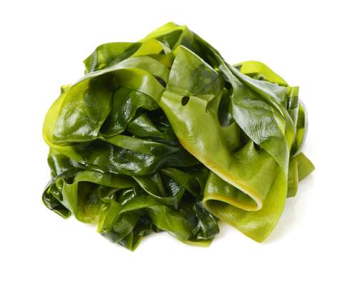 Algues fraiches : wakamé BIO (barquette de 100 g)