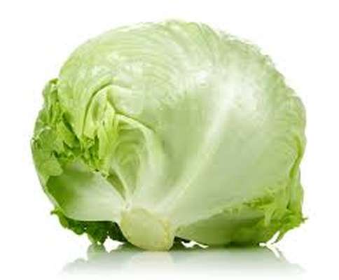 Salade Iceberg (450 à 700 g) (calibre moyen), Espagne