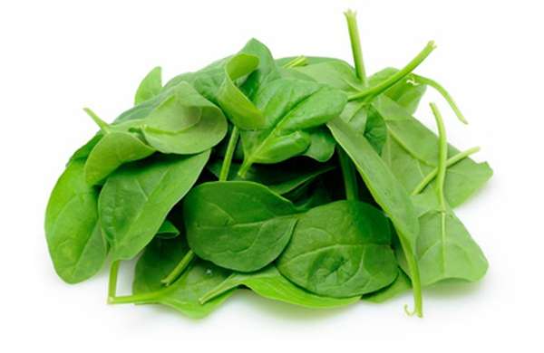 Pousse d'épinard (baby épinard) (125 g), France