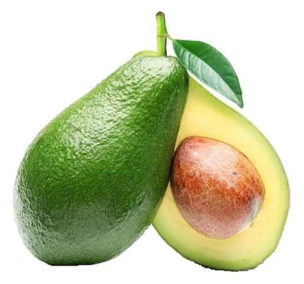 Avocat tropical "géant" à mûrir (0.5 à 0.7 kg) (gros calibre), Brésil