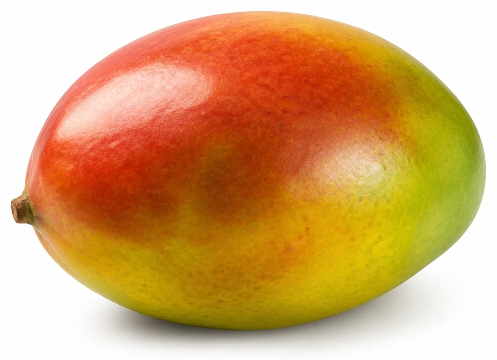 Mangue