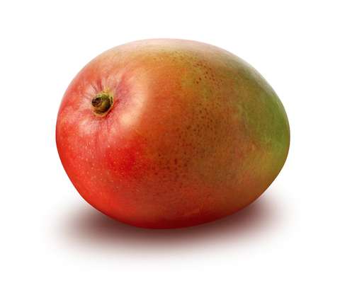 Mangue Kent BIO (calibre moyen), Sénégal
