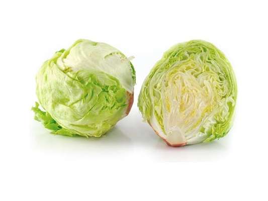 Salade Iceberg de plein champ BIO, France