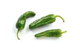 Piment de Padron vert BIO du Sud-Ouest - direct producteur, France
