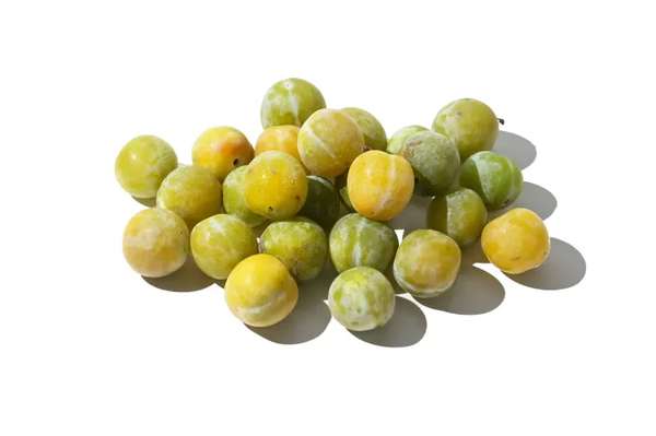 Prune Reine Claude de Provence - direct producteur (barquette de 500 g), France