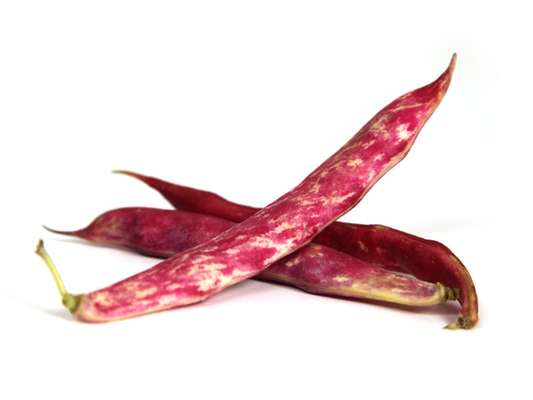 Haricot coco rouge de Provence - Direct producteur (barquette de 500 g), France