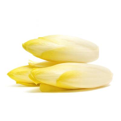 Endive