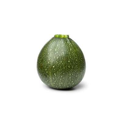 Courgette ronde verte du Loir-et-Cher (150 à 250 g) (petit calibre), France