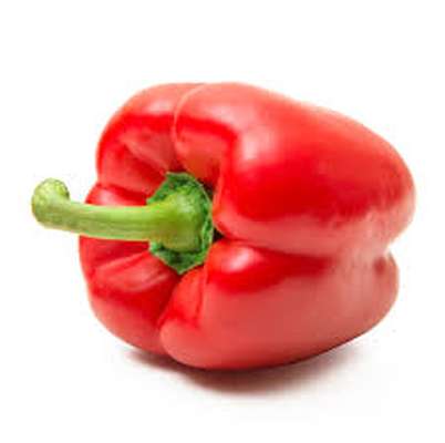 Poivron rouge (calibre moyen), Belgique
