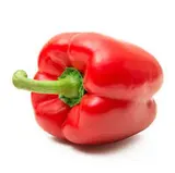 Poivron rouge (calibre moyen), Espagne