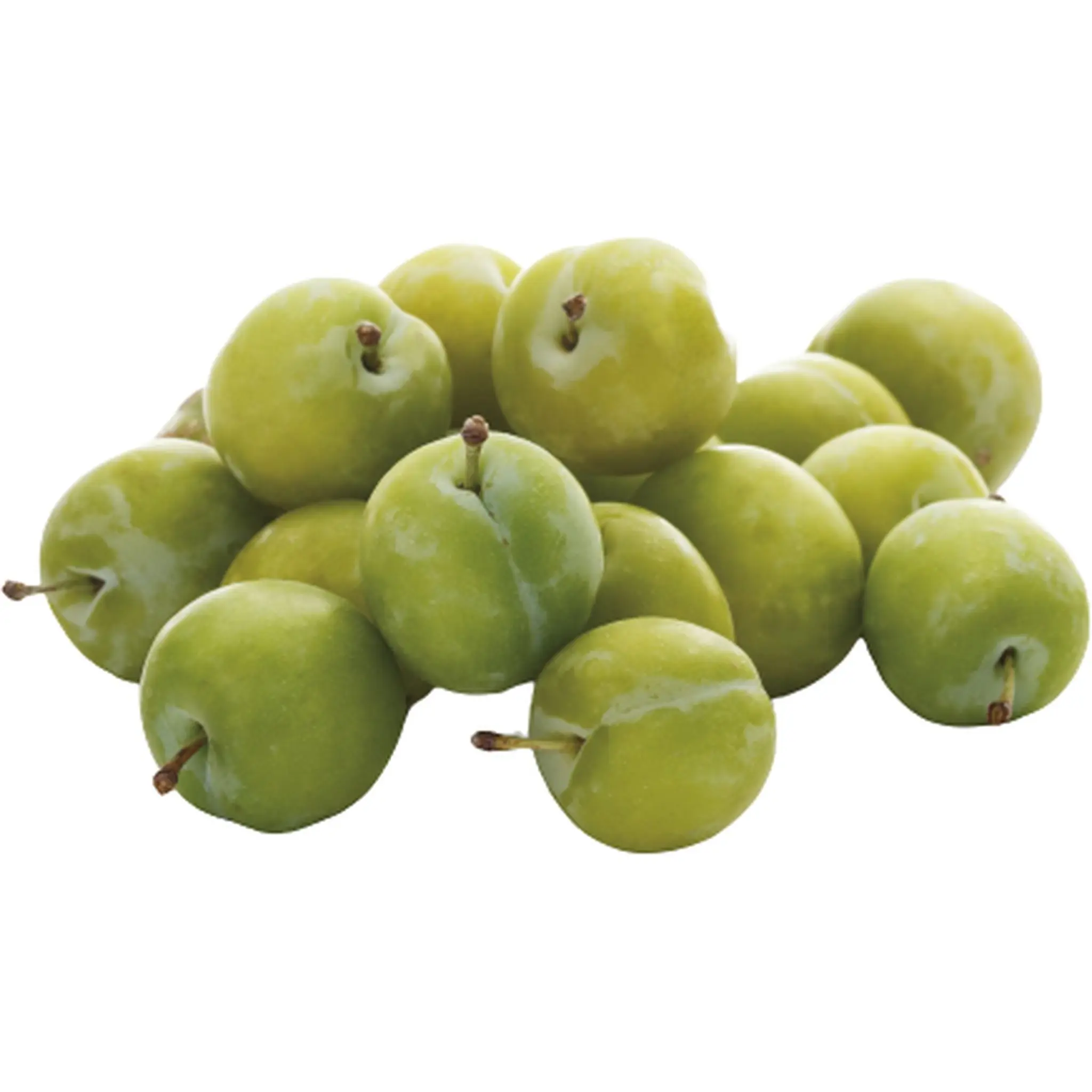 CULTIVONS LE BON Prunes Reine Claude