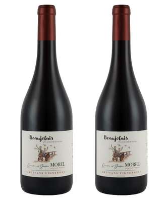 Lot de 2 Beaujolais Nouveau 2025 BIO, Quentin & Gaetan Morel (2 x 75 cl)
