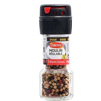 Moulin 5 baies, Ducros (24 g)