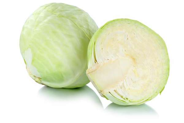 Chou blanc lisse BIO du Finistère Nord - Direct producteur (1.2 à 1.6 Kg) (calibre moyen), France