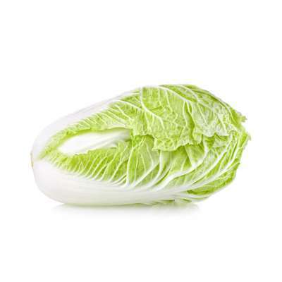 Chou chinois Pe-Tsaï BIO du Finistère Nord - Direct producteur (0.75 à 0.95 Kg) (calibre moyen), France